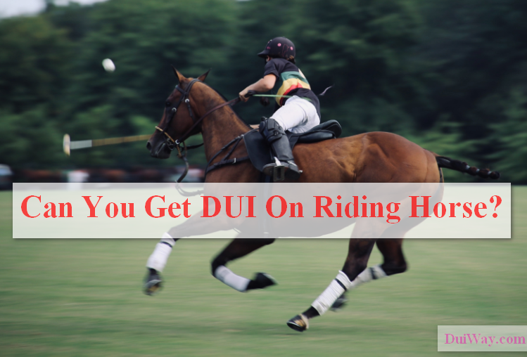getting dui on horse riding laws